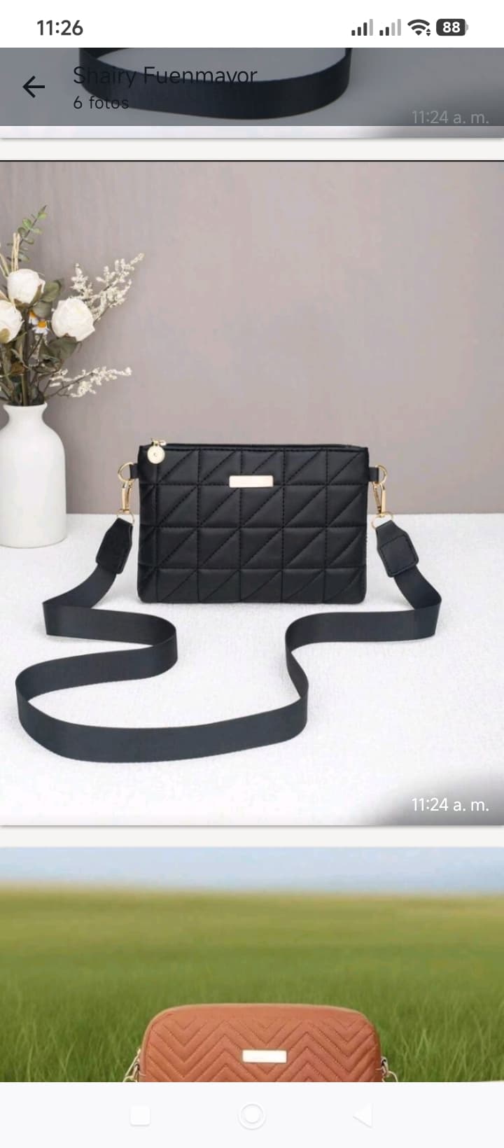 Cartera de dama 