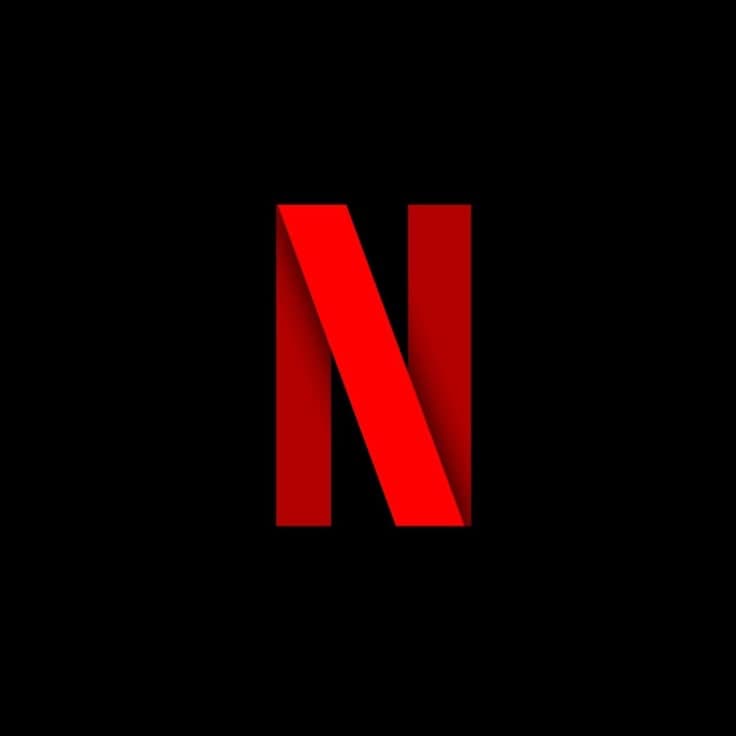 Netflix (1 Perfil)